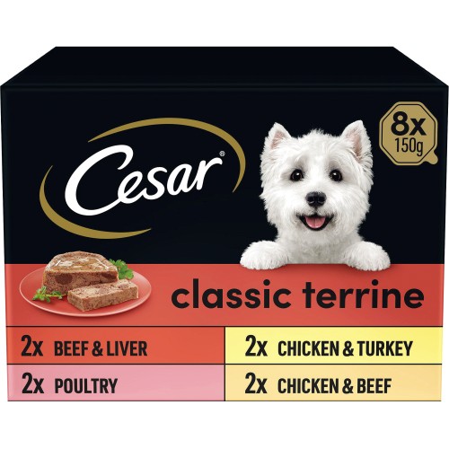 Cesar senior store dog food pouches