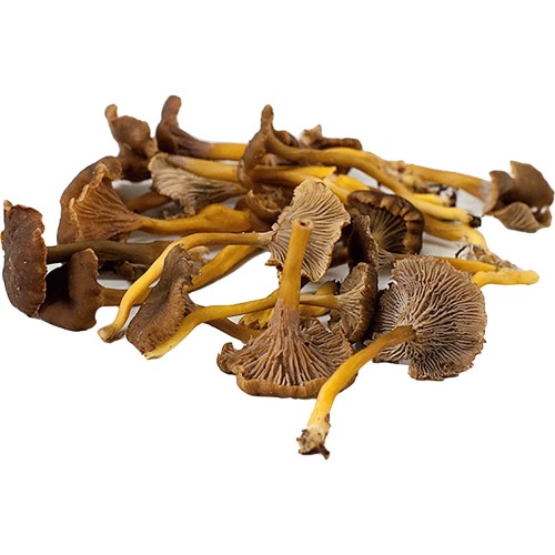 Natoora Fresh Chanterelle Mushrooms (80g) Compare Prices & Where To