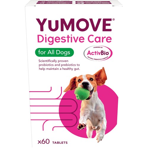 5 of the best senior dog toys – YuMOVE