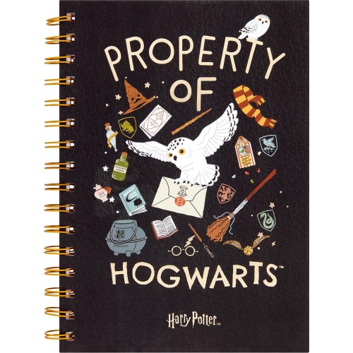 Harry Potter A5 Wiro Notebook - Compare Prices & Where To Buy - Trolley ...