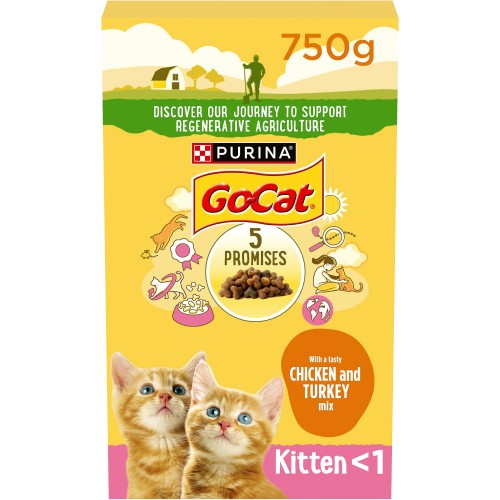 Cheap kitten food best sale