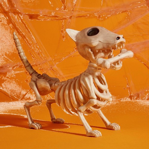 Halloween Skeleton Dog