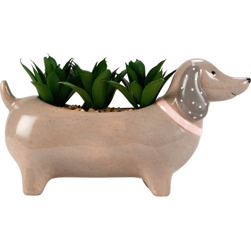 George Home Sausage Dog Succulent Compare Prices Where To Buy Trolley