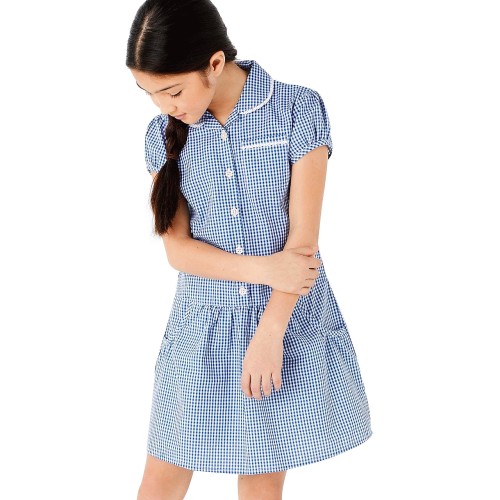 Cotton gingham hot sale school dress