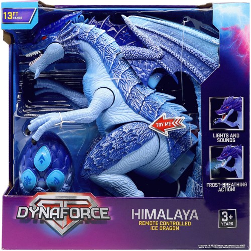 Dragon himalaya 2025