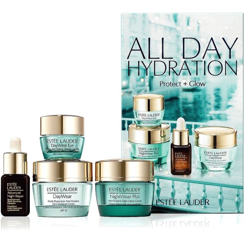 Estee lauder daywear skin best sale care set