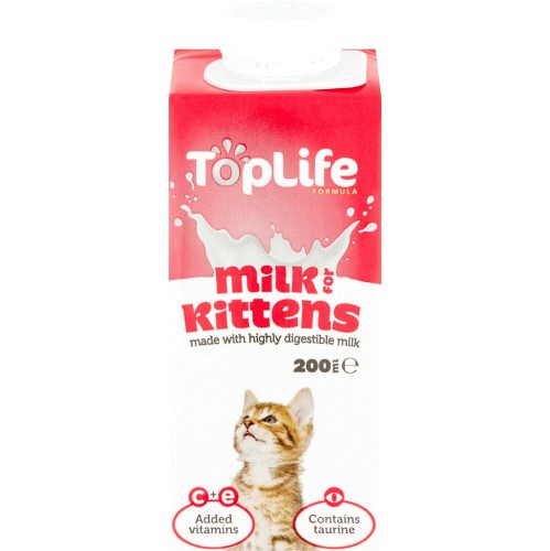 Carnation milk hotsell for kittens