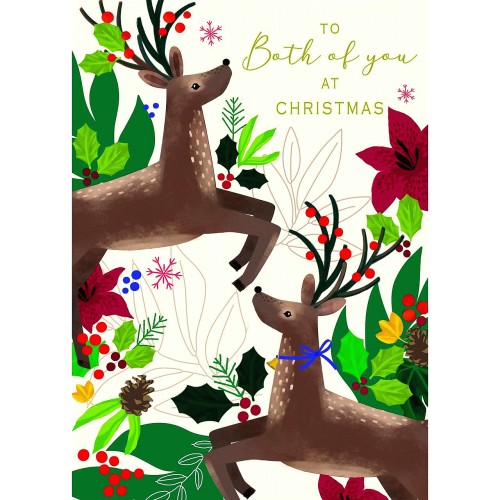 To Both Of You At Christmas Reindeer Card - Compare Prices & Where To ...