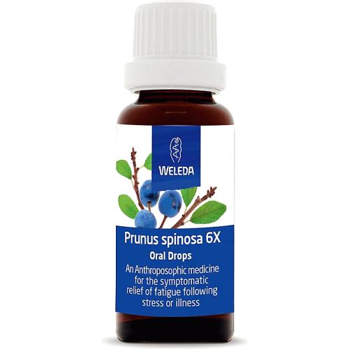 Weleda Prunus Spinosa Oral Drops (6 x 25ml) - Compare Prices & Where To ...