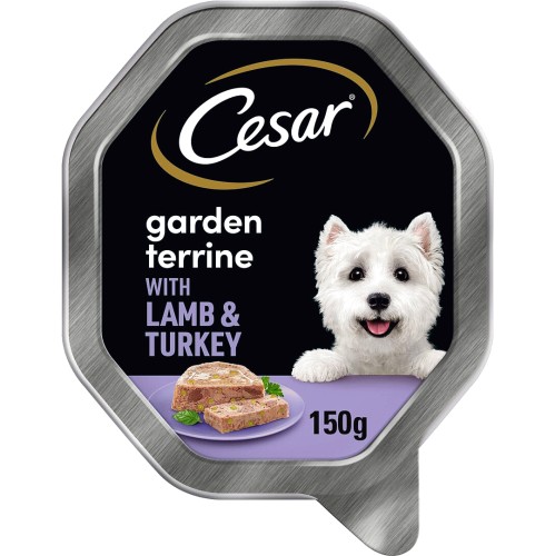 Cesar dog sale food tesco