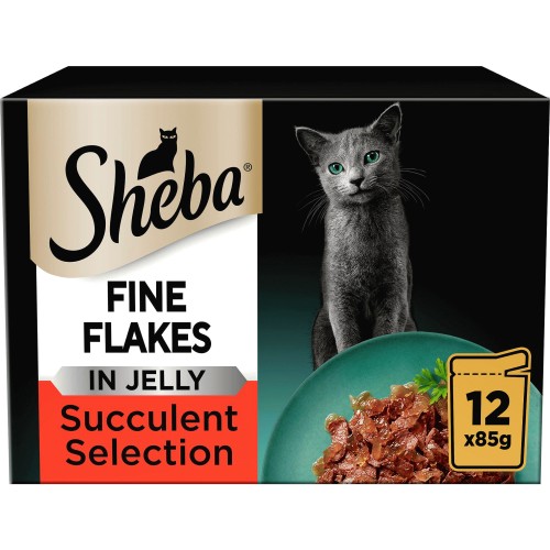 B&m kitten food best sale