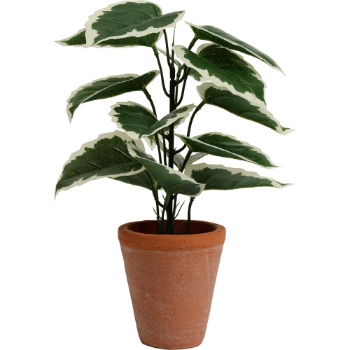 Habitat deals plant pots