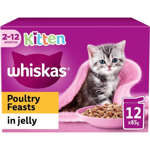 Top store kitten food