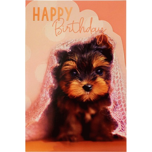 Cute best sale puppy birthday