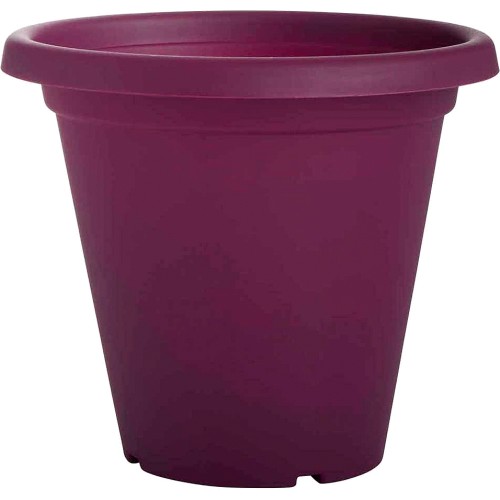 Clever Pots Round Plant Pot 19 Orchid (20cm) - Compare Prices & Where To  Buy 