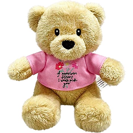 Morrisons sale teddy bear